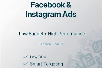 manage meta ads for better CPC and ROI on small budget