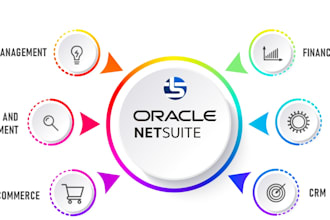 provide professional netsuite development and customization