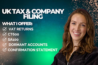 file UK vat returns, ct600, confirmation statement, sa100 and dormant accounts