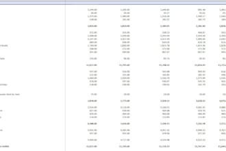 build a professional dcf financial model and valuation for your business