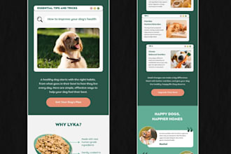 design klaviyo email flows and klaviyo email template for email marketing
