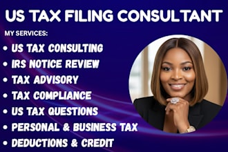 us tax questions, us tax compliance tax planning, tax consulting for tax returns