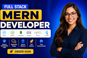 develop a clean and professional full stack web app