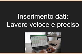 ill do fast and accurate data entry and excel work