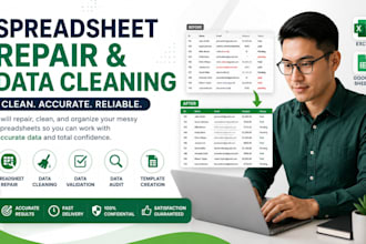 spreadsheet repair spreadsheet proofing messy data template cleanup data audit