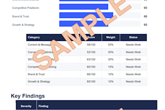 audit your websites marketing and deliver a scored growth report