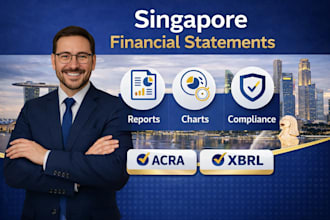 prepare and file financial statements for singapore company