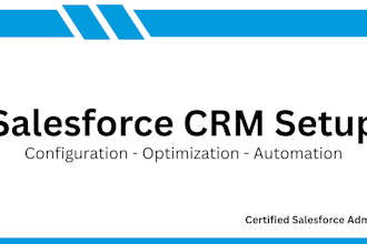 setup and configure your salesforce CRM for your business