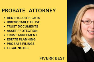 write irrevocable trusts, probate filings, and asset protection documents