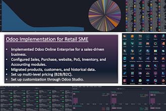 configure, customize and maintain odoo erp software