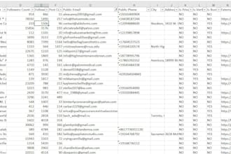 extract instagram followers leads
