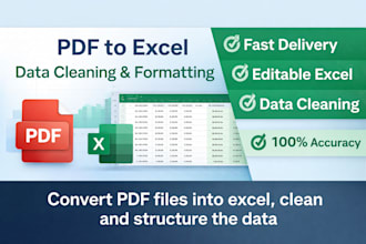 convert PDF to excel, clean, format and create pivot tables