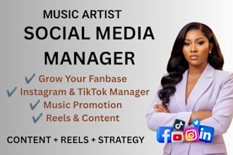 manage social media for independent musicians djs and music artists