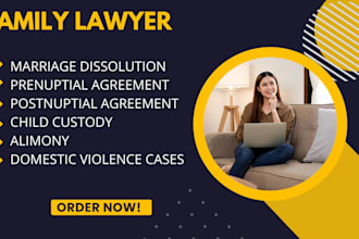 be your family lawyer