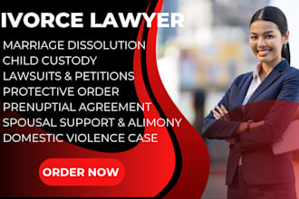 be your divorce lawyer