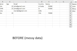 clean and format your excel data professionally