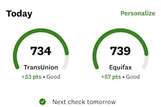 inquiry removal, late payment, collection, boost score, credit report, in 24h
