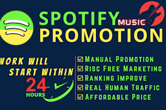 do USA spotify promotion, spotify music promotion
