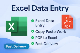 fast and accurate excel data entry, copy paste and PDF conversion