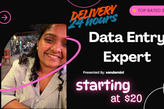 do fast and accurate data entry any database