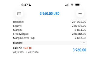 build forex trading bot, forex ea, trading bot, forex robot, forex trading ea