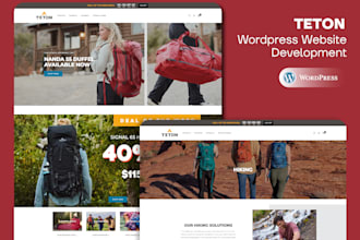 wordpress website and long term assistance