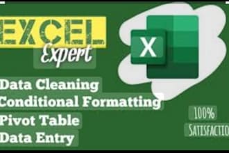 be your expert for excel data entry, typing and formatting