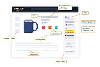 create and optimize flipkart and amazon product listings SEO