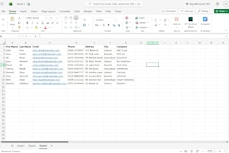 do careful and accurate data entry in excel google sheets