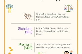 professional chinese astrology bazi reading for your career and wealth