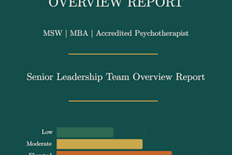 create a team burnout diagnostic and senior leadership overview report