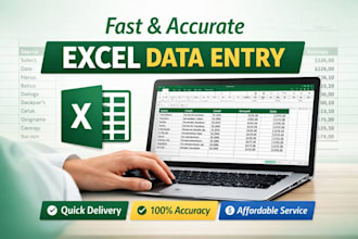 manage excel spreadsheet with accurate data entry