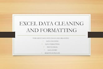 excel data cleaning, data formatting, data conversion