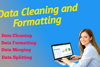 clean, format, merge, split excel data