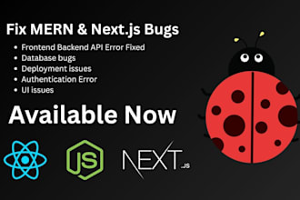 fix bugs in your mern and next js web application quickly