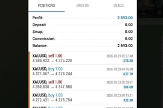 manage your mt4 mt5 account, profitable account management