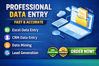 do accurate excel data entry, PDF to excel and typing