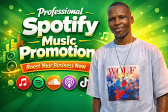 do spotify album promotion, spotify music track promotion