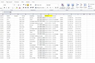 do data entry and copy paste job accurately