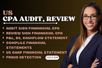 do forensic audit, internal audit and financial statement review