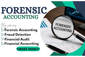do forensic accounting, financial audit, investigate fraud, financial accounting