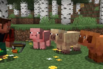 create minecraft skin for bedrock server and java, pvp