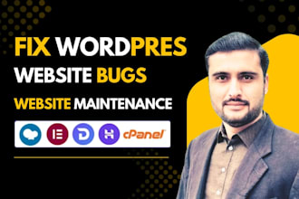 fix wordpress bugs, fix wordpress plugin conflicts quickly