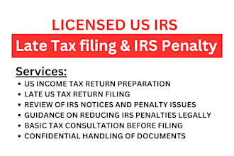 prepare and file us irs income tax returns and help reduce irs penalties as cpa
