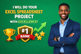 do your excel spreadsheet project with excellence