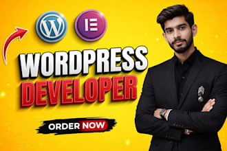 design and redesign wordpress websites