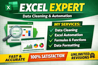 do microsoft excel data cleaning, formating, pdf to excel,