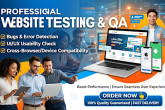 test your website and find bugs manually