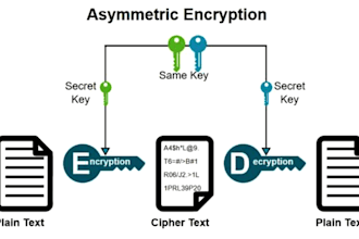 do your cybersecurity, cloud computing, vulnerability, cryptography assignments