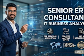 be your erp consultant for business process mapping and implementation